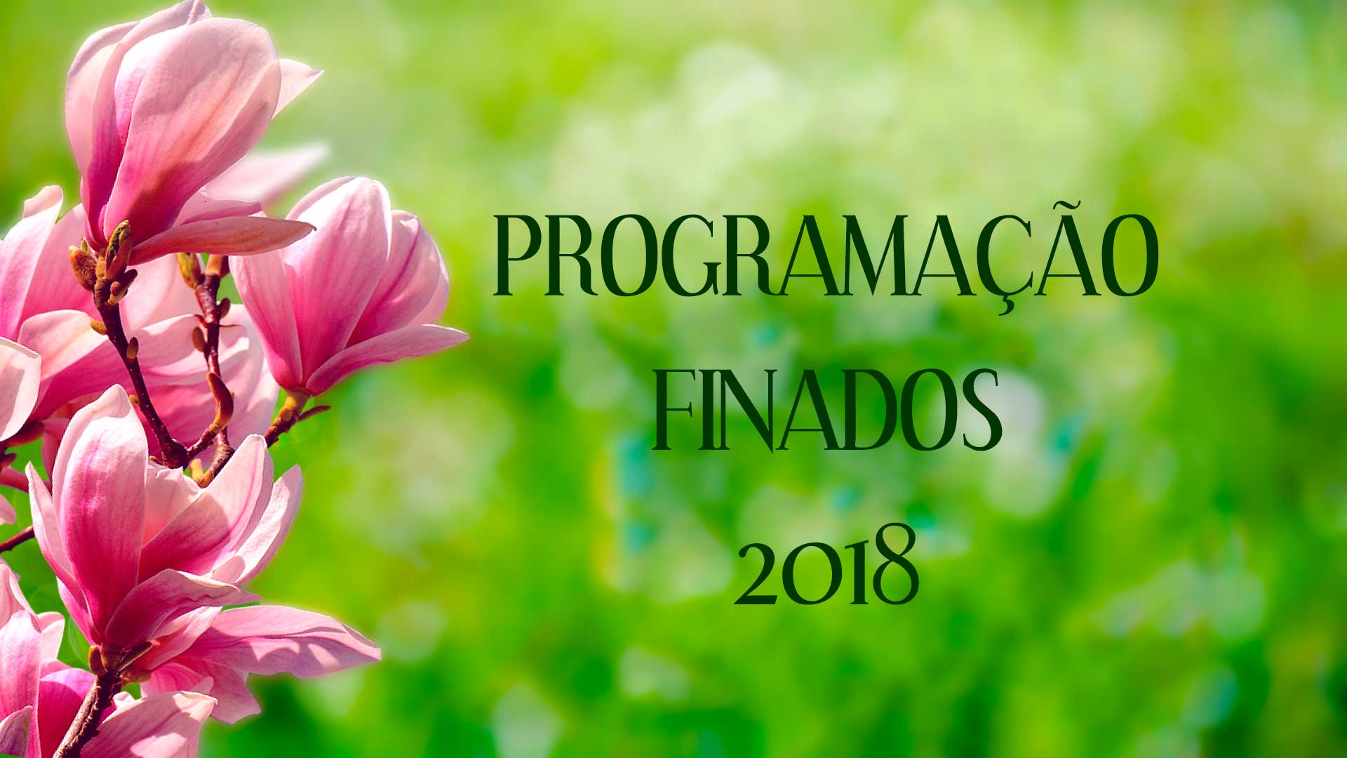 Programação Finados
