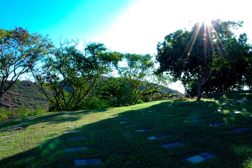 Estrutura do crematório