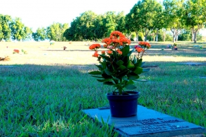 Cemitério Parque